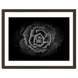 Backyard Flowers In Black And White No 101 thumbnail