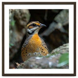 Colorful Bird Perched Among Rocks And Foliage thumbnail
