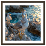 Seagull Standing On Rocks Near Water thumbnail
