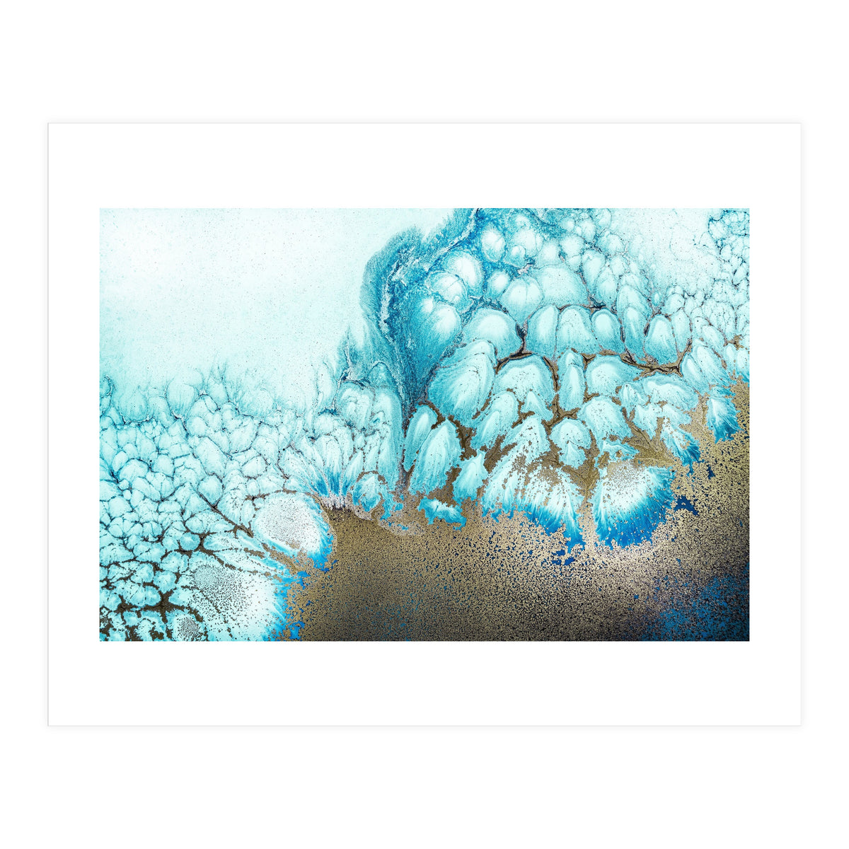 Moonlit Reef (Print Only)