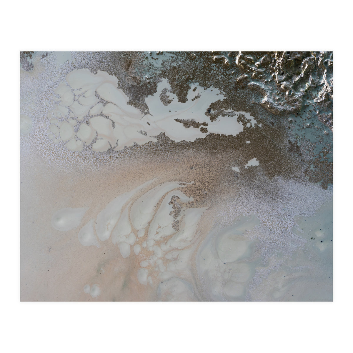 Life Unfolding (Print Only)