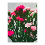 Watercolor Still Life (Print Only) thumbnail
