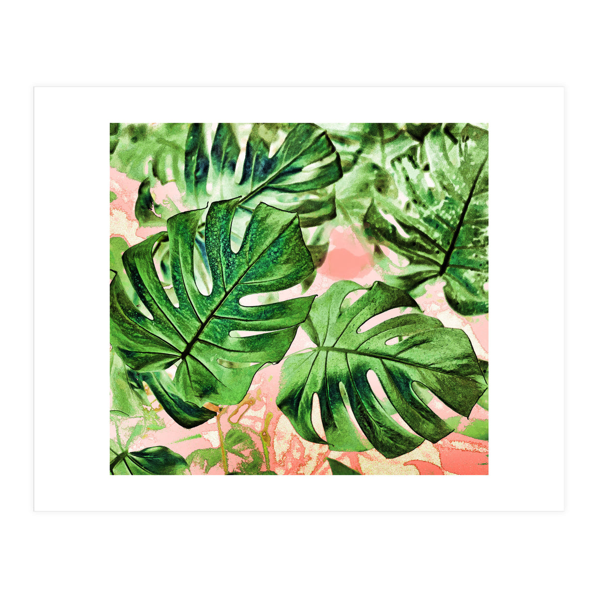 Monstera Beauty #society6 #decor #buyart (Print Only)