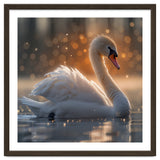Majestic Swan Gliding On Water During Sunset Golden Hour Wildlife thumbnail