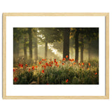 The poppy forest thumbnail