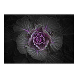 Backyard Flowers No 108 Color Version (Print Only) thumbnail