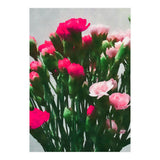 Watercolor Still Life (Print Only) thumbnail