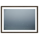 Flying Segulls in thet winter sky thumbnail