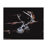 Deer Skull (Print Only) thumbnail