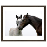 Two Horses thumbnail