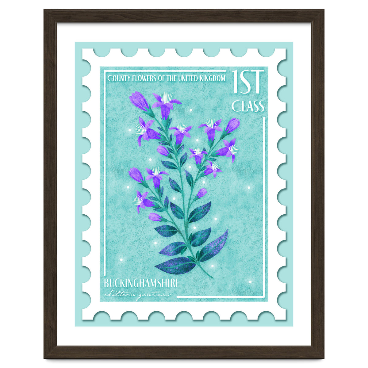 The Buckinghamshire Chiltern Gentian Postage Stamp