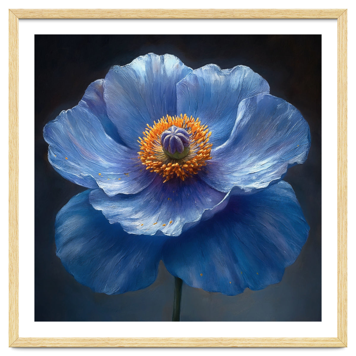 Meconopsis | Sapphire Serenade