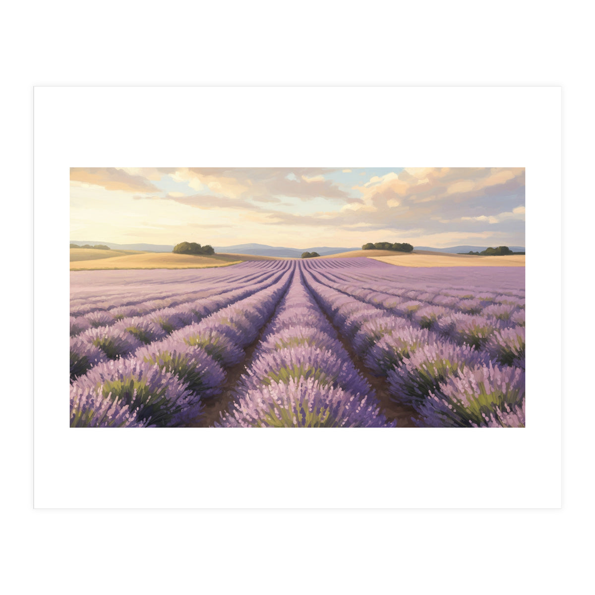 Provençal Sunset: Lavender Field Landscape (Print Only)