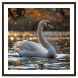 Graceful Swan Gliding On Reflective Water Surface thumbnail