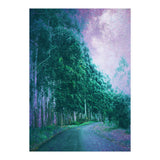 Magical Path (Print Only) thumbnail
