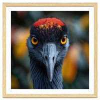 Close Up Of A Strikingly Beautiful Bird Face