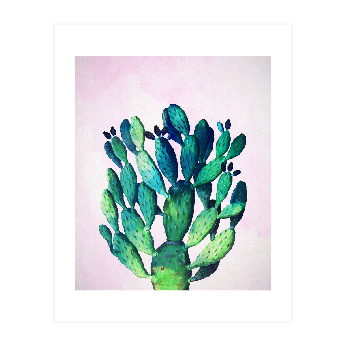 Cactus Three Ways (Print Only)