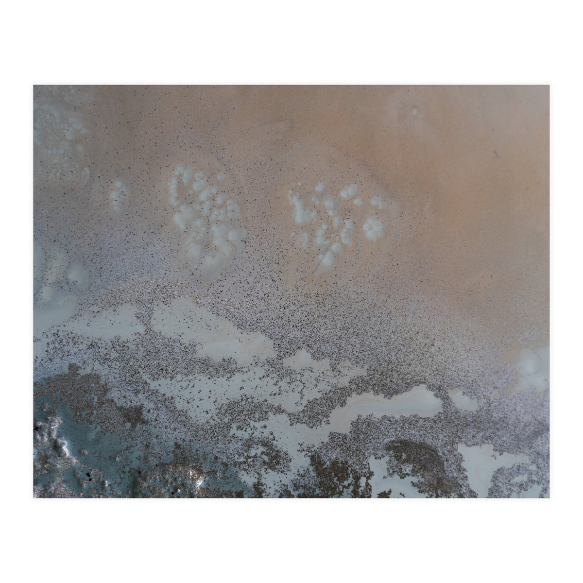 Edge Of Life (Print Only)