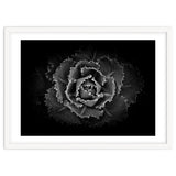 Backyard Flowers In Black And White No 101 thumbnail