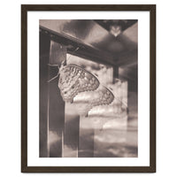 Evolving | Sepia