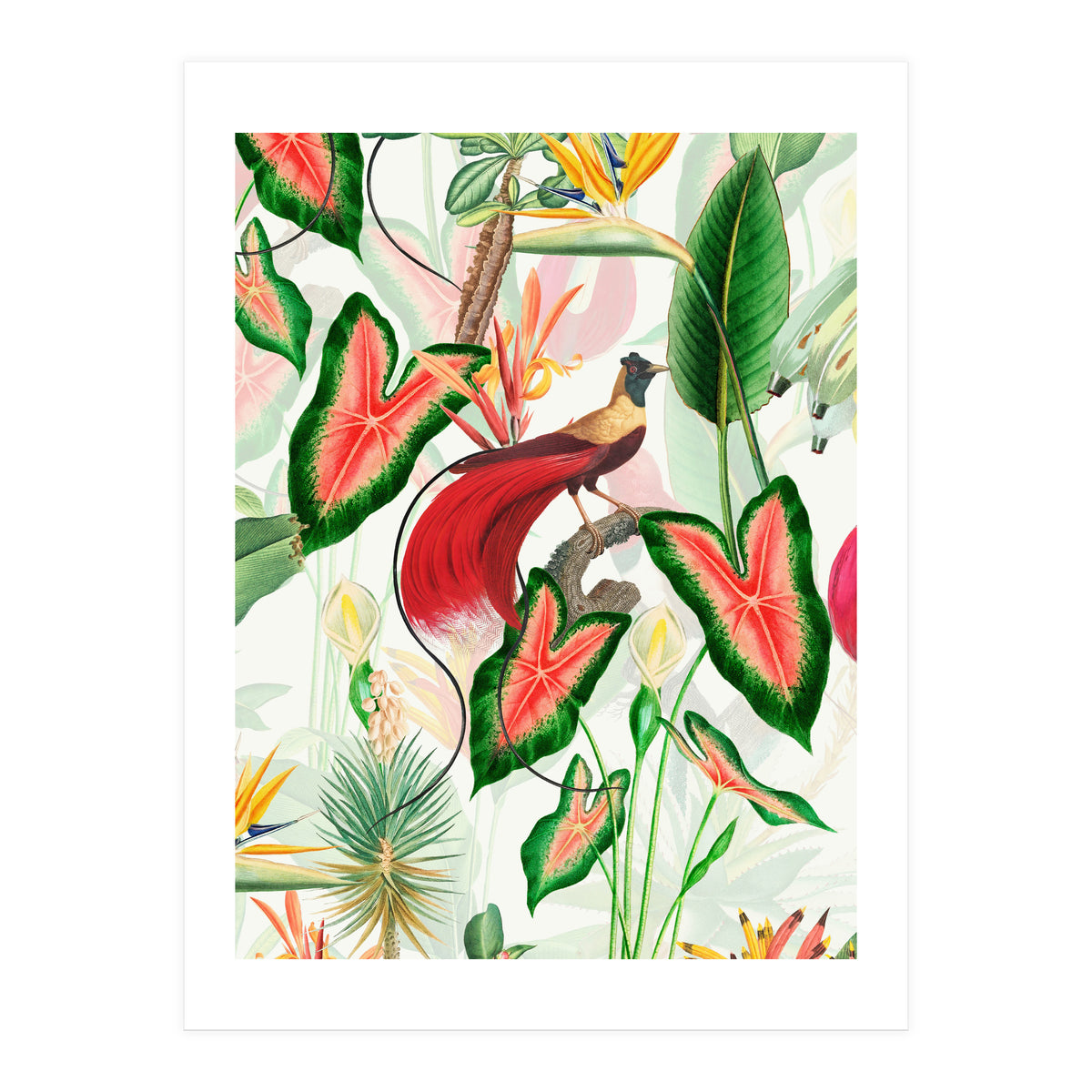 Vintage Bird Of Paradise in Jungle (Print Only)