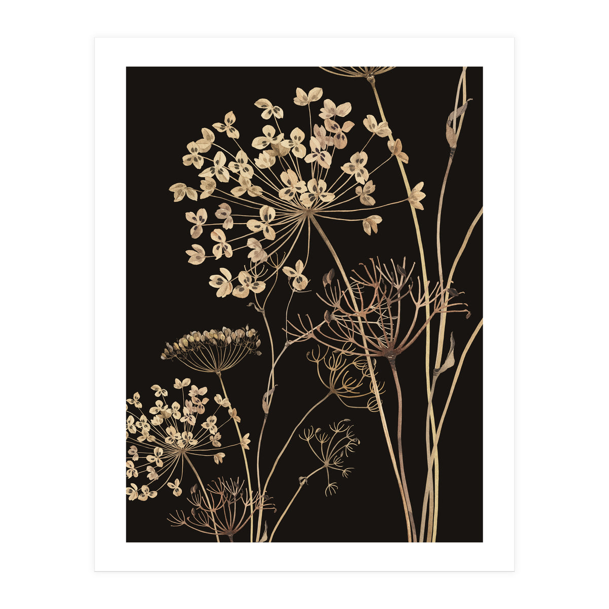 Wildflowers I (Print Only)