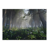 Art In The Forest (Print Only) thumbnail