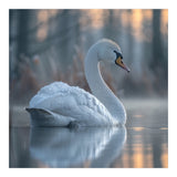 Graceful Swan Floating On Calm Water (Print Only) thumbnail
