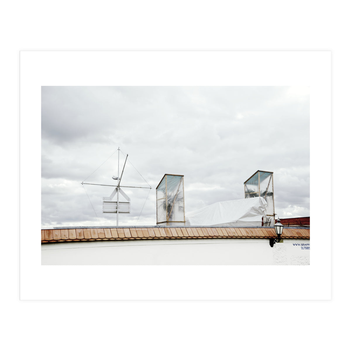 Palm tree waiting for summer (Print Only)