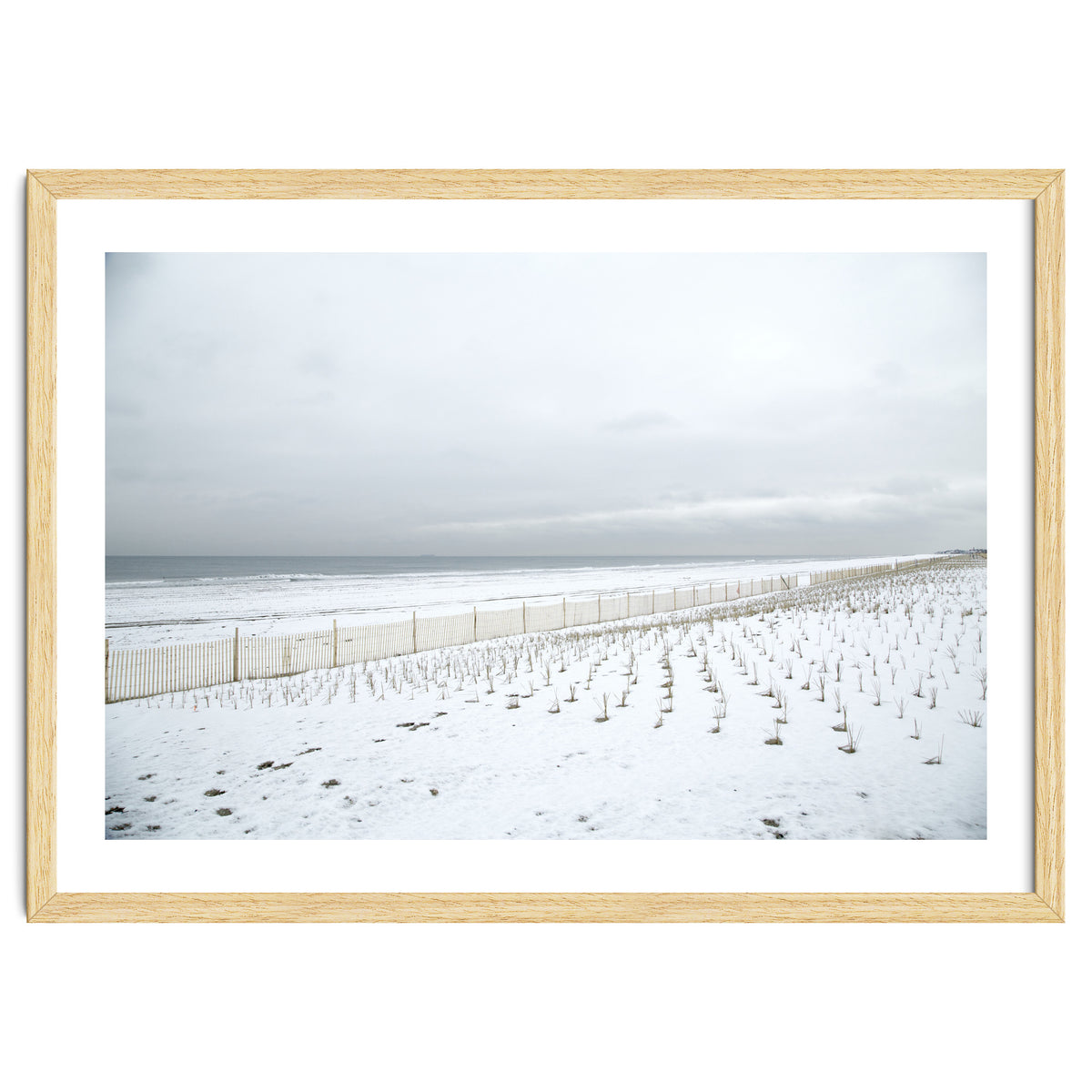 Winter grass in snow beach