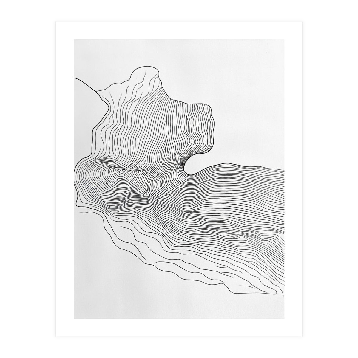 Abstract Black And White Organic Flowing Lines Pattern (Print Only)
