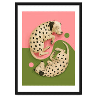 Yin And Yang Dalmatians