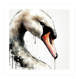 Watercolor Swan Portrait (Print Only) thumbnail