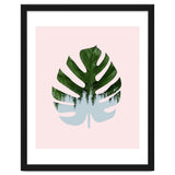 Monstera thumbnail