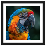 Close Up Of A Colorful Macaw Parrot thumbnail