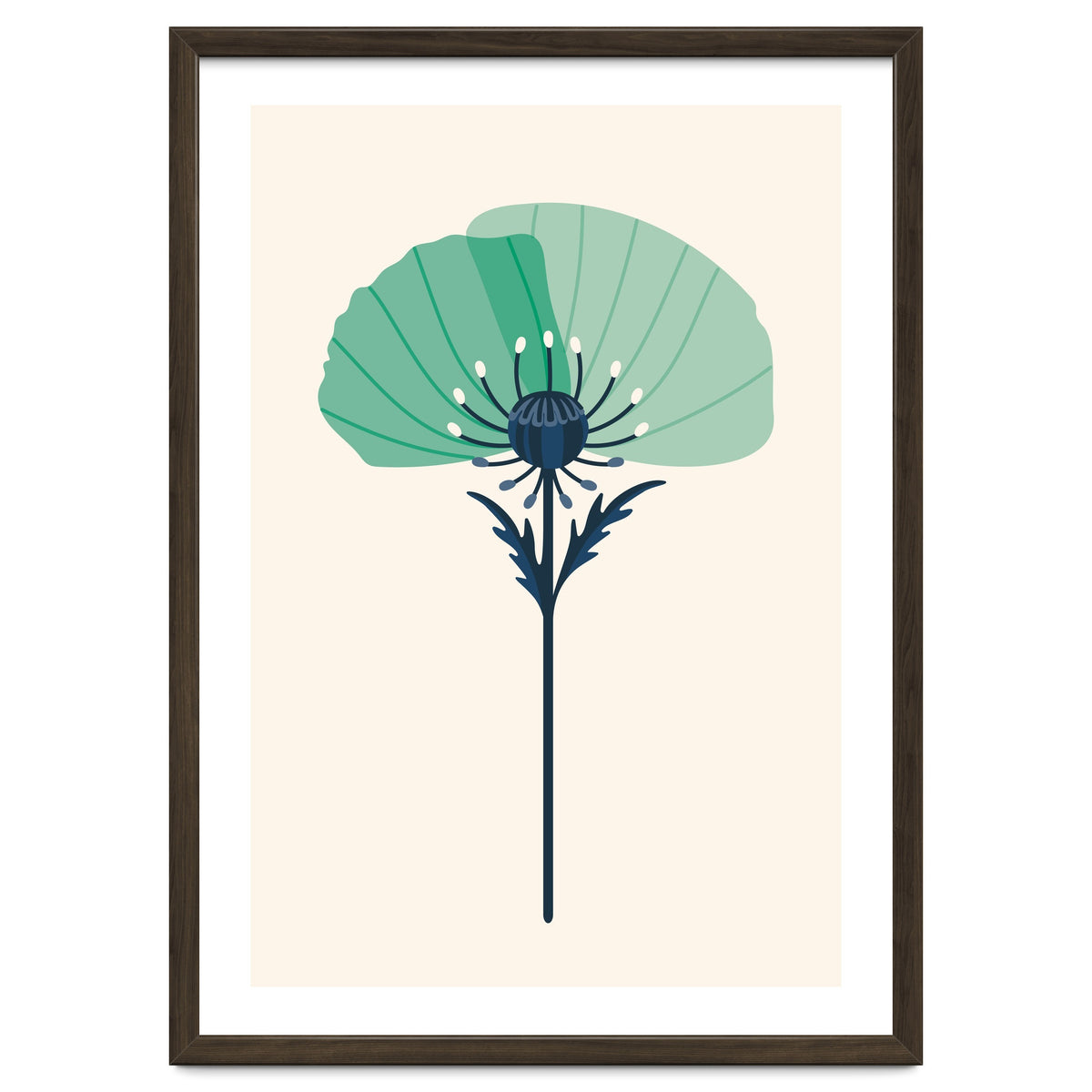 Teal Half Poppy