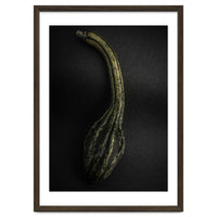 Gourds No 9 Color Version