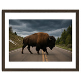 Bison on the Road , Yellowstone Wildlife Photography thumbnail