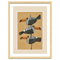 Tropic Trio