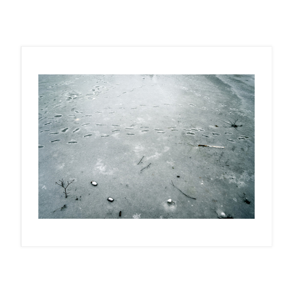 Frozen ice pond (Print Only)