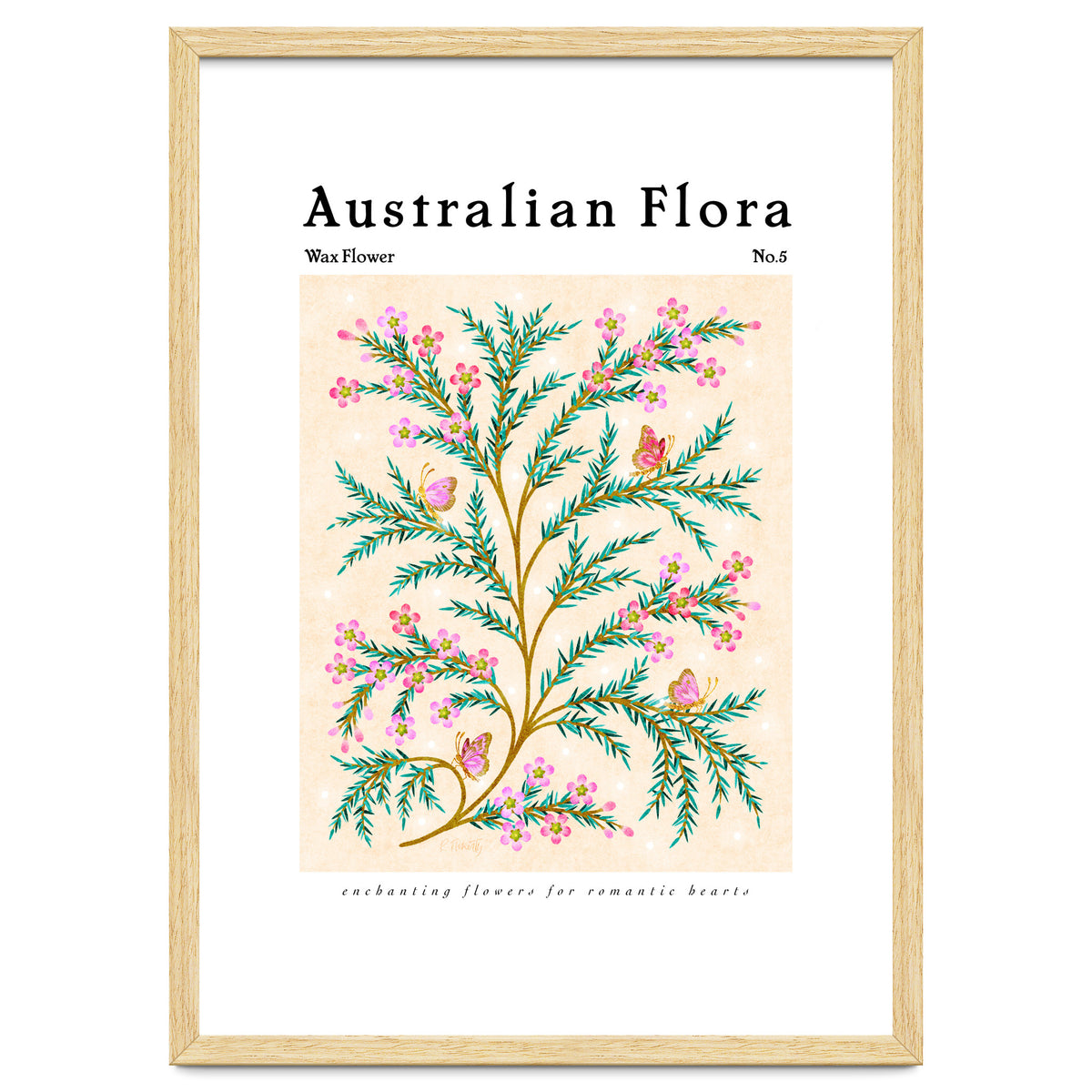 Australian Flora: Wax Flower