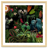 Moody Botanical Midnight Jungle Birds thumbnail