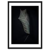 Leaves No 3 Color Version thumbnail