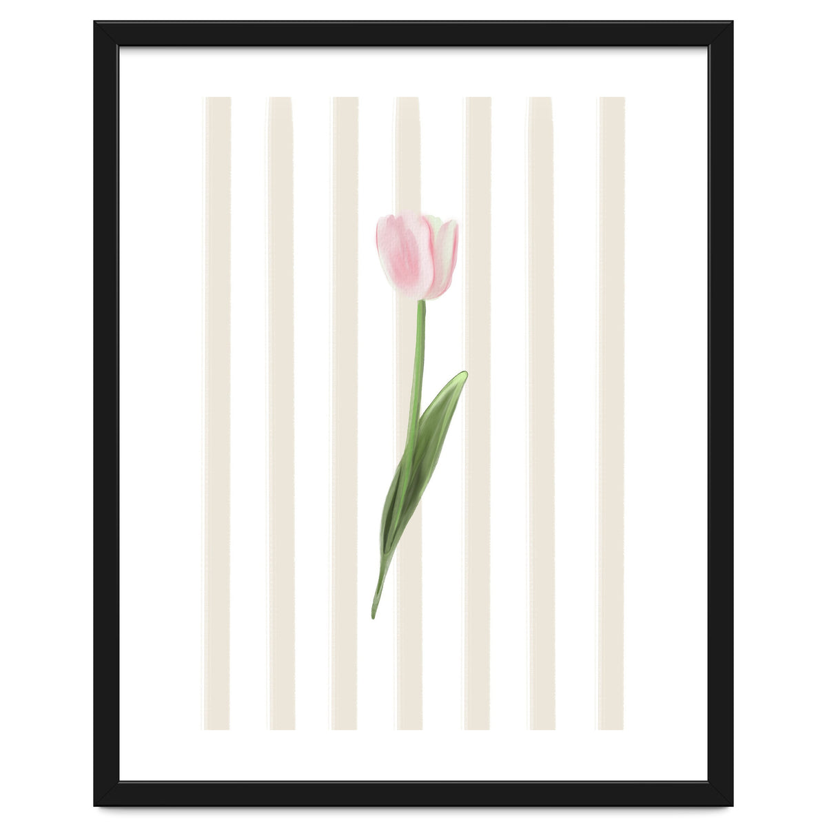 Single Tulip