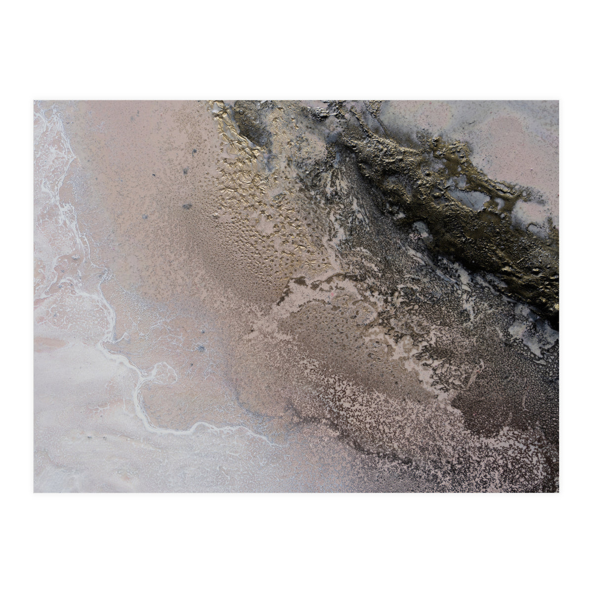 Sunkissed (Print Only)