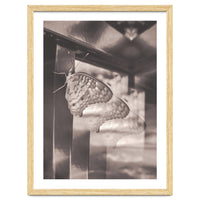 Evolving | Sepia
