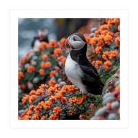 Atlantic Puffin Bird Perched On Orange Flowers (Print Only)