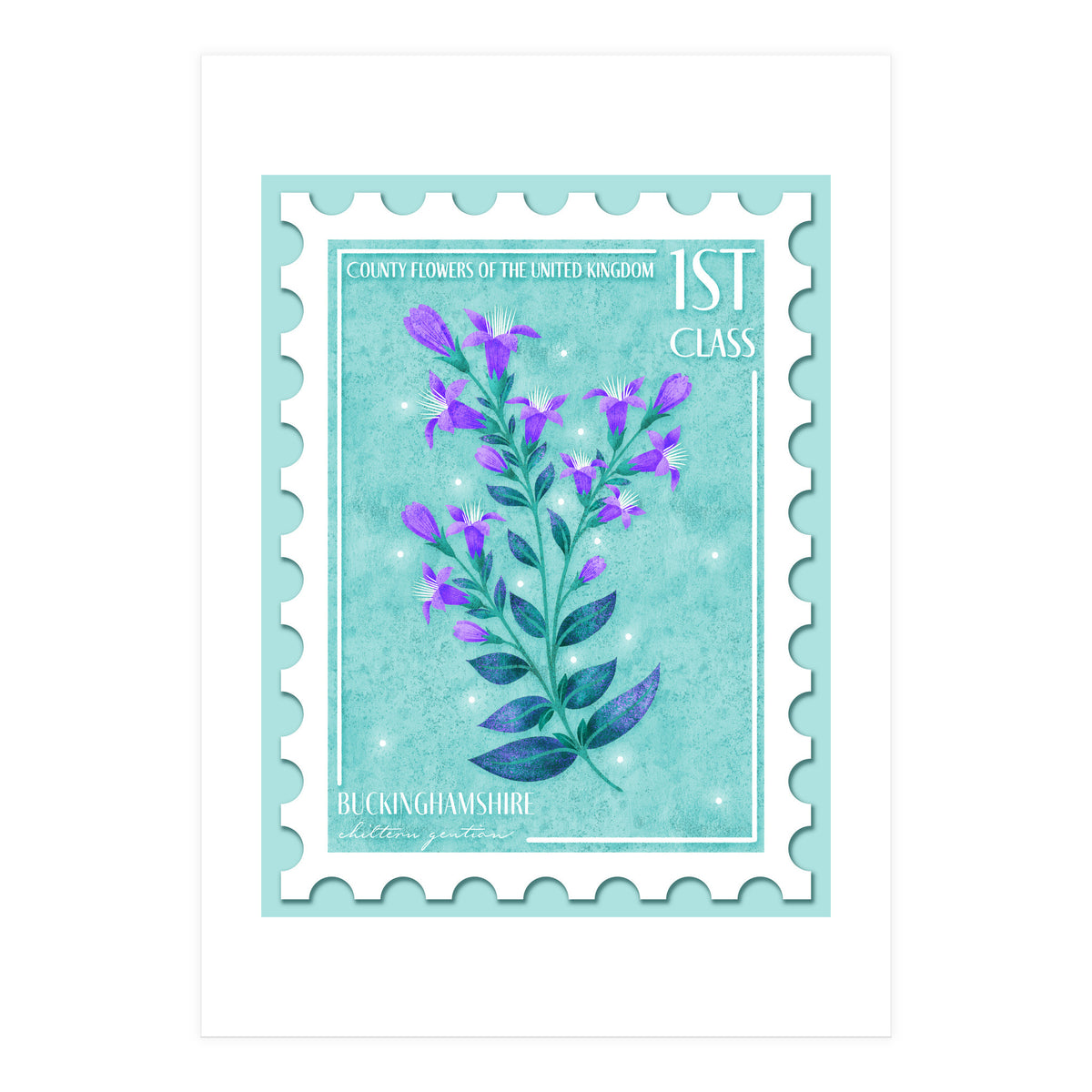 The Buckinghamshire Chiltern Gentian Postage Stamp (Print Only)
