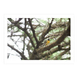 Mini sun (Print Only) thumbnail