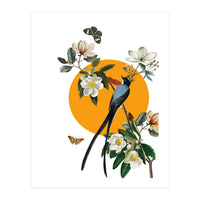 collage floral birds (Print Only)